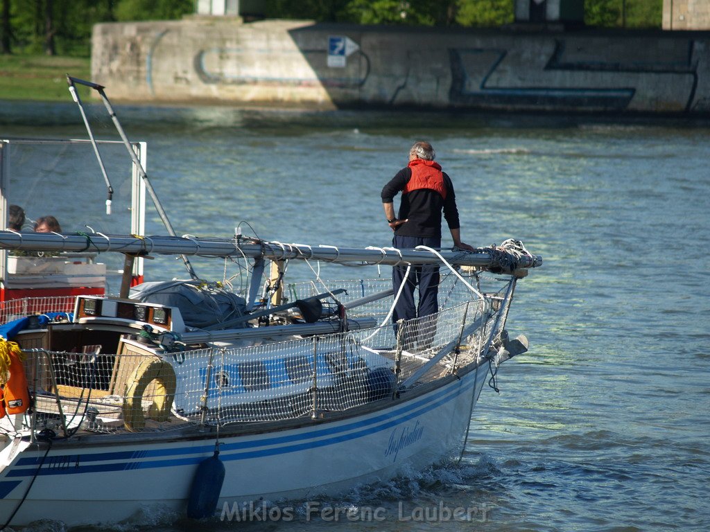 Motor Segelboot mit Motorschaden trieb gegen Alte Liebe bei Koeln Rodenkirchen P090.JPG